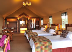 Triple Room